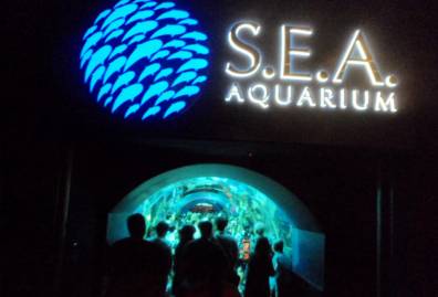 S.E.A.海洋馆 Sea Aquarium