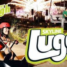 斜坡滑车及空中吊椅  Skyline Luge