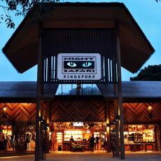 新加坡夜间动物园 Singapore Night Safari