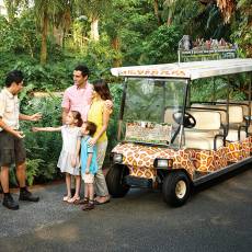 新加坡日间动物园 Singapore Zoo
