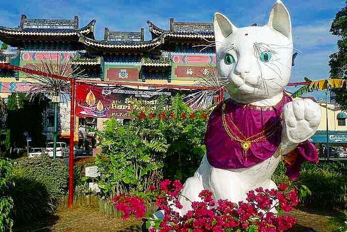 微信图片_20190218154617