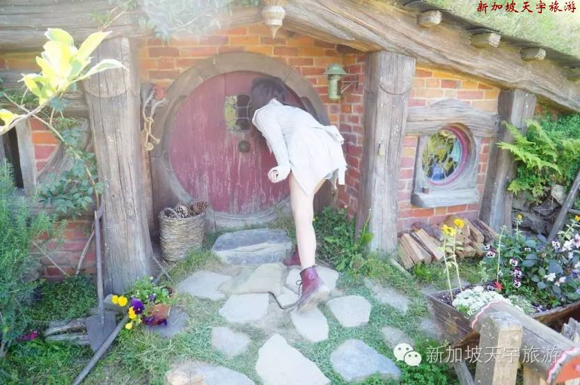 微信图片_20190510174536