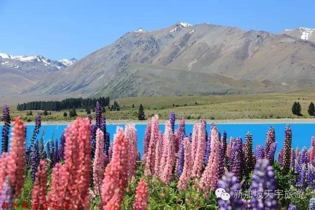 微信图片_20190510174553