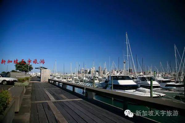 微信图片_20190510174521