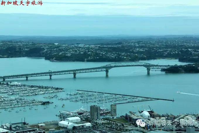 微信图片_20190510174523