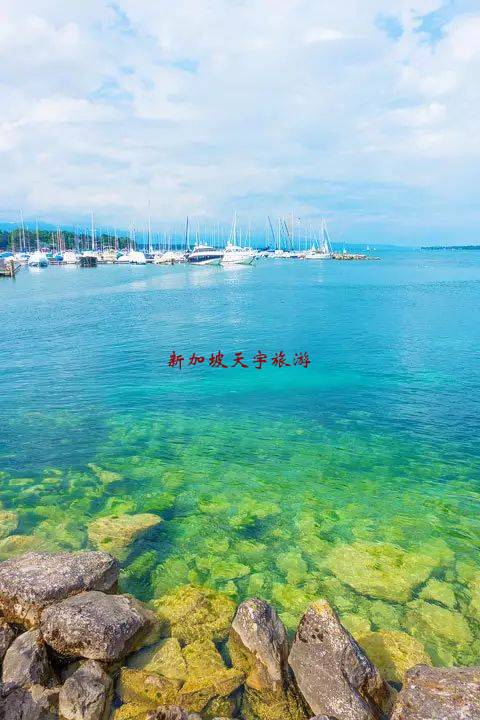 WeChat Image_20190728130414