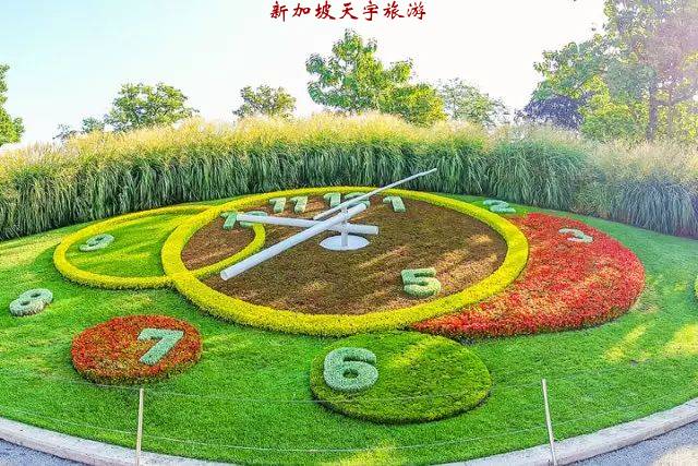 WeChat Image_20190728130417