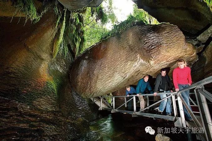 微信图片_20191009183119