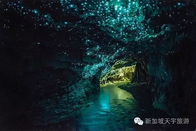 微信图片_20191009183124