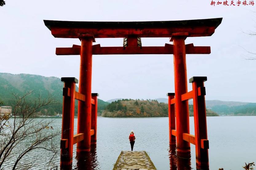 微信图片_20190611105614 微信图片_20190611105614