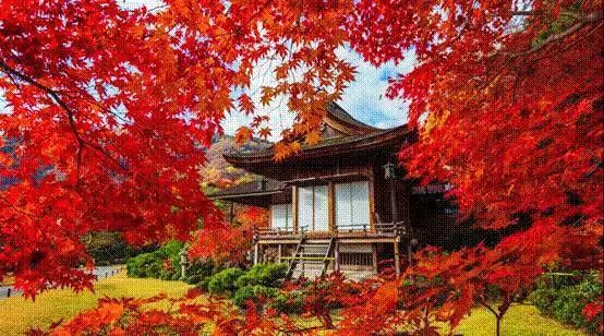 微信图片_20190611105659 微信图片_20190611105659