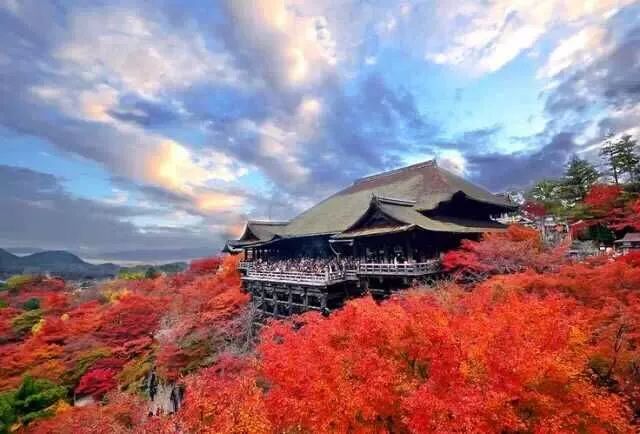 微信图片_20190611105705 微信图片_20190611105705