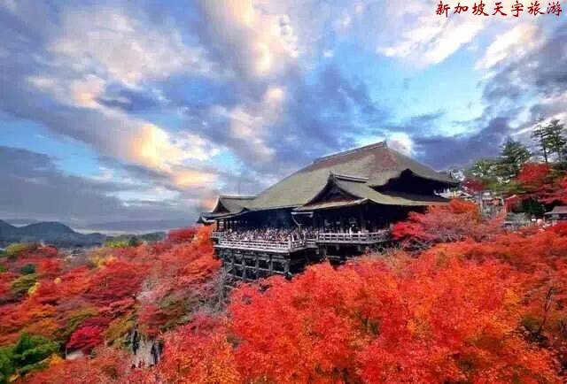 微信图片_20190611105705 微信图片_20190611105705