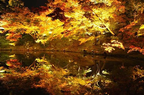 微信图片_20190611105708 微信图片_20190611105708