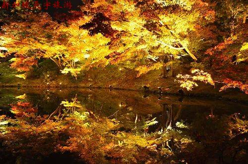 微信图片_20190611105708 微信图片_20190611105708