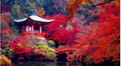 微信图片_20190611105702 微信图片_20190611105702