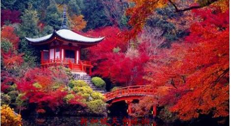 微信图片_20190611105702 微信图片_20190611105702