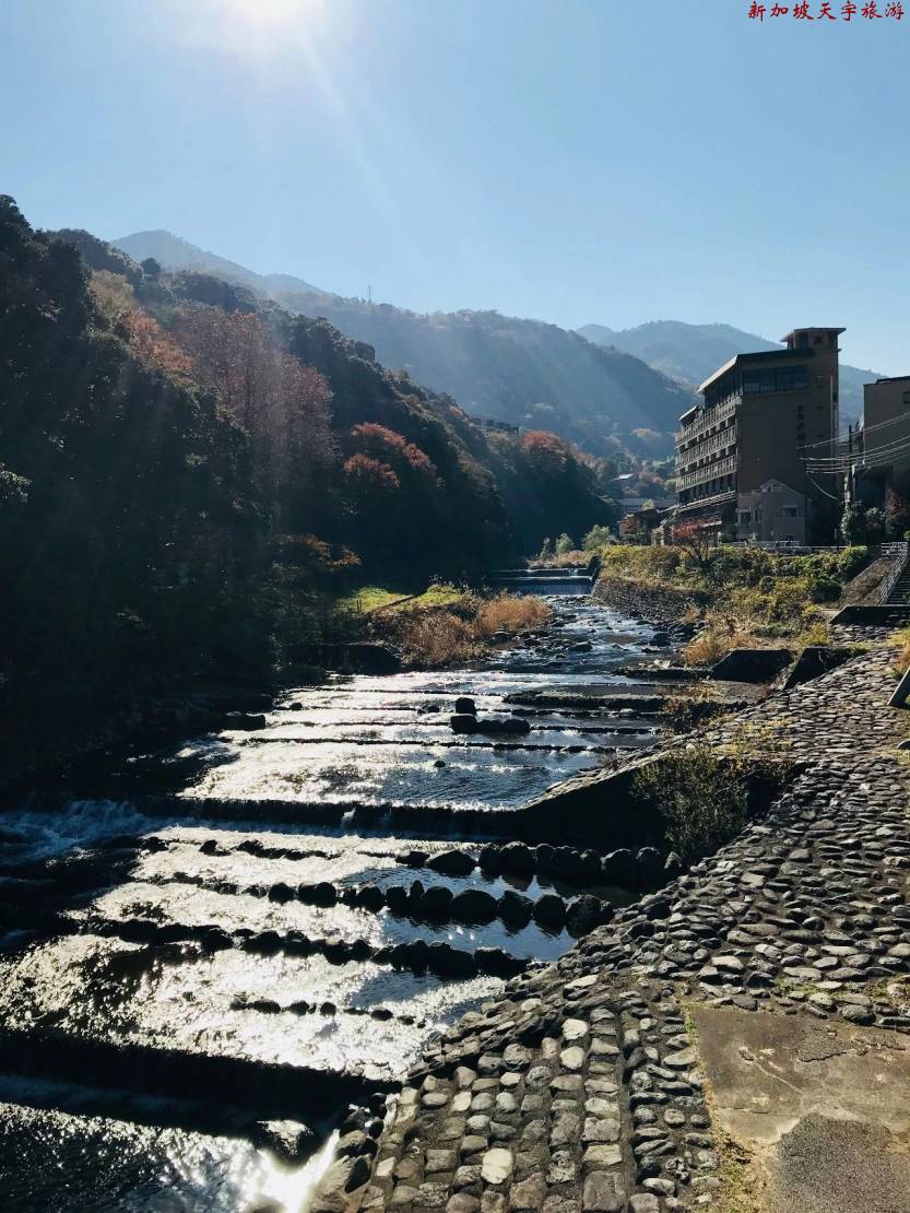 微信图片_20190611105544 微信图片_20190611105544