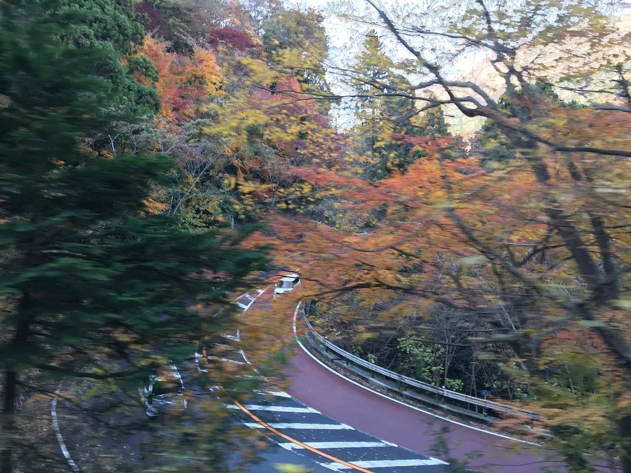 微信图片_20190611105550 微信图片_20190611105550