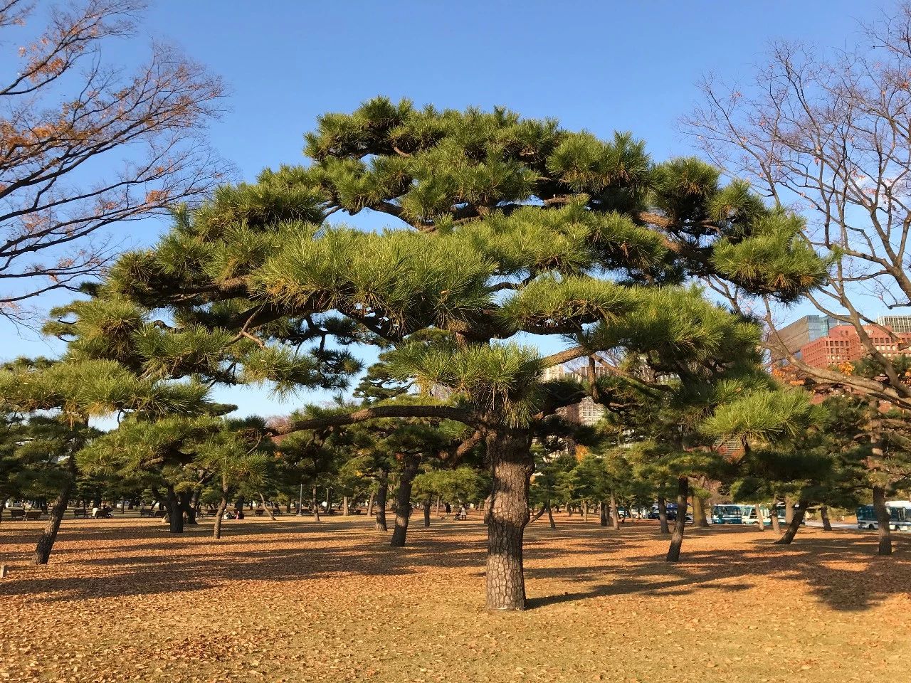 微信图片_20190611105513 微信图片_20190611105513