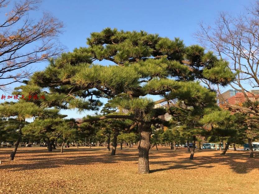 微信图片_20190611105513 微信图片_20190611105513