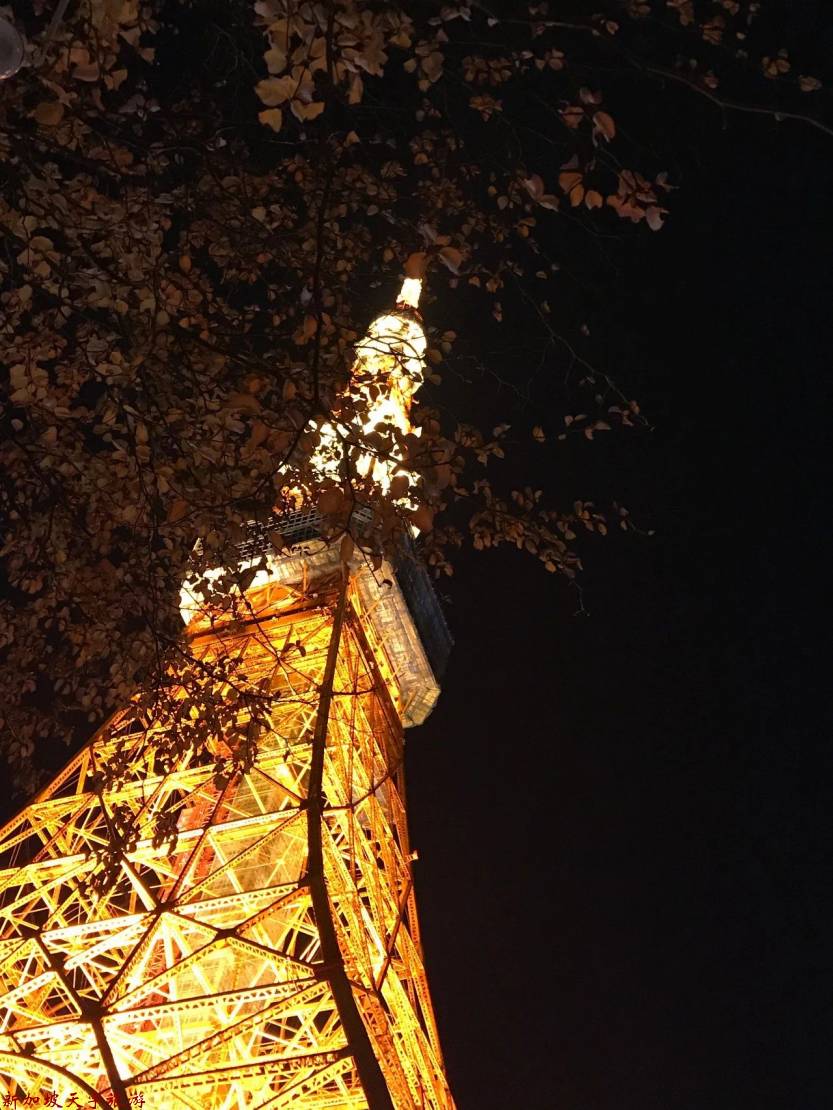 微信图片_20190611105524 微信图片_20190611105524