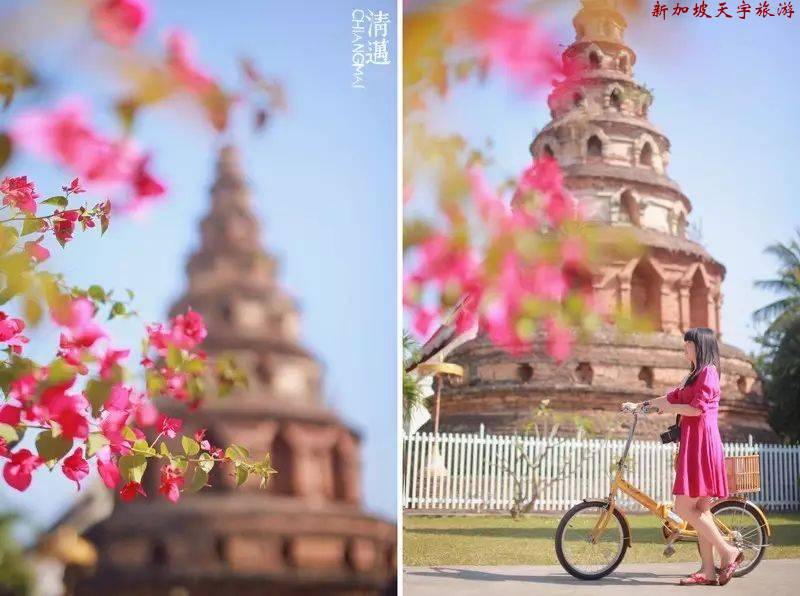 微信图片_20191024184655