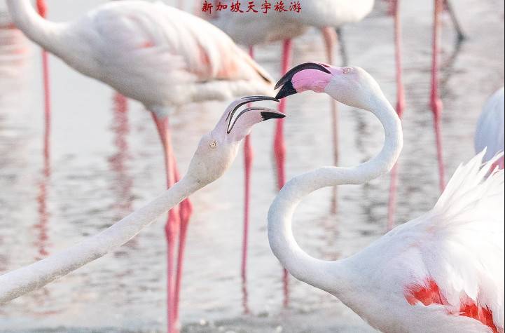 微信图片_20191106161409