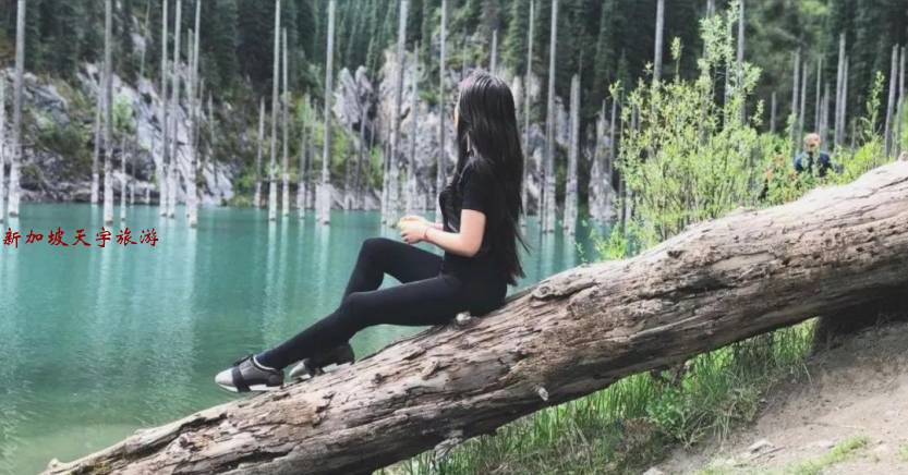 微信图片_20191106141441