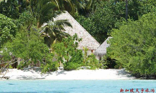 微信图片_20191121171551