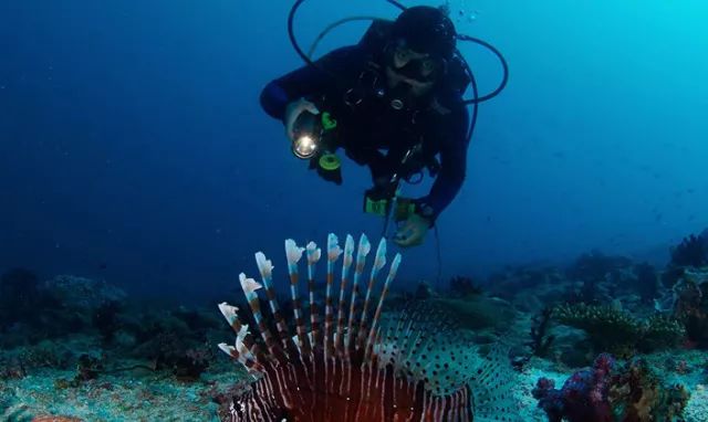 微信图片_20191121171621