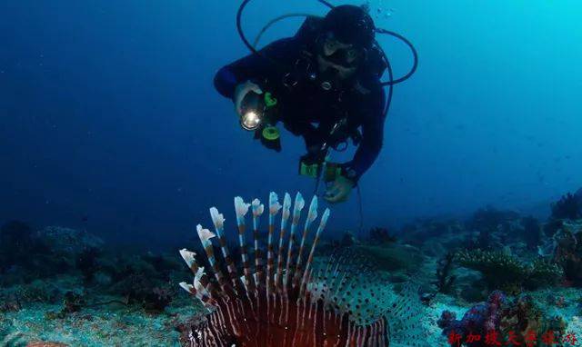 微信图片_20191121171621