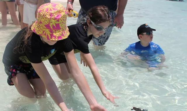 微信图片_20191121171632