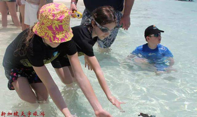 微信图片_20191121171632