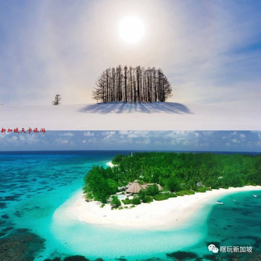 微信图片_20191203152055