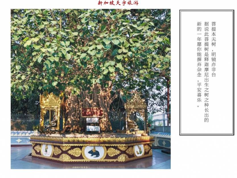 微信图片_20191204180357