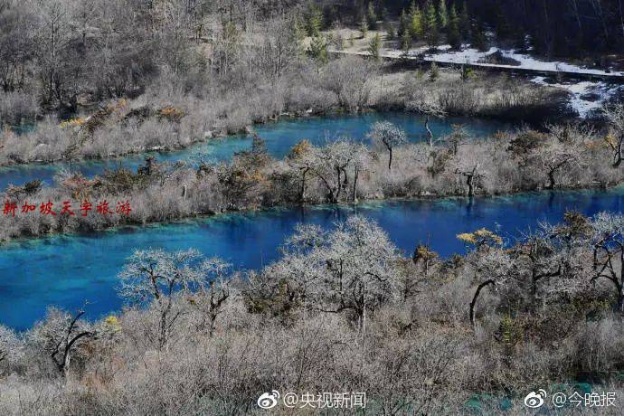 微信图片_20200204115511