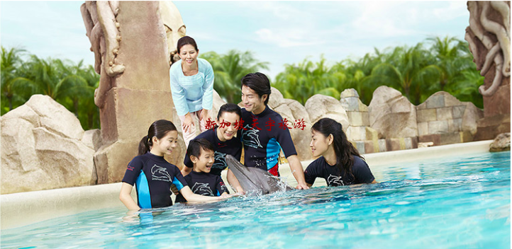 Screenshot 2020-05-04 at 3