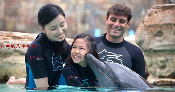 Screenshot 2020-05-04 at 3