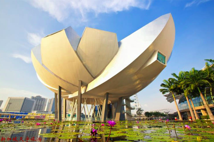 Screenshot 2020-05-11 at 8 Screenshot 2020-05-11 at 8