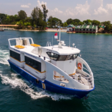 新加坡渡轮船票 Singapore Island Cruise (Marina South Pier to St. John's to Kusu Island to Marina South Pier)