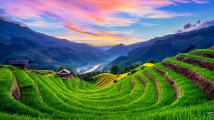 【越南】北越 - 河内 · 沙坝 · 下龙