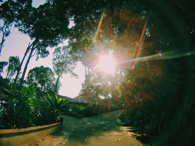 微信图片_20181105130220
