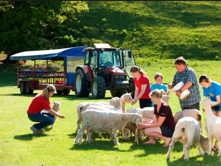 微信图片_20190510174544