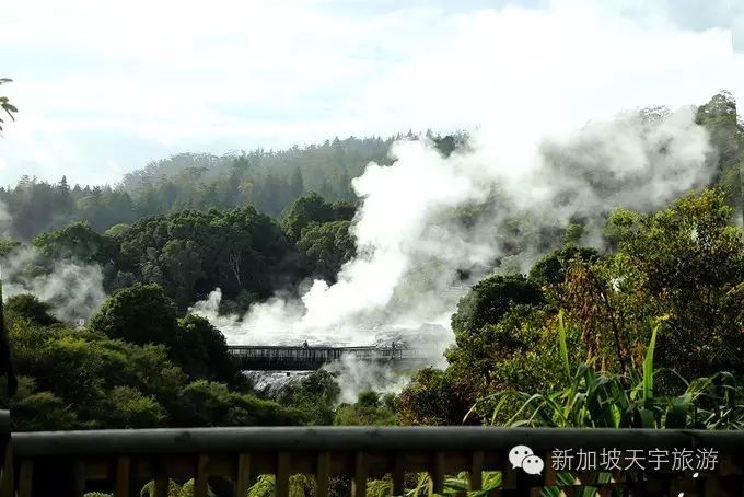 微信图片_20190510174547