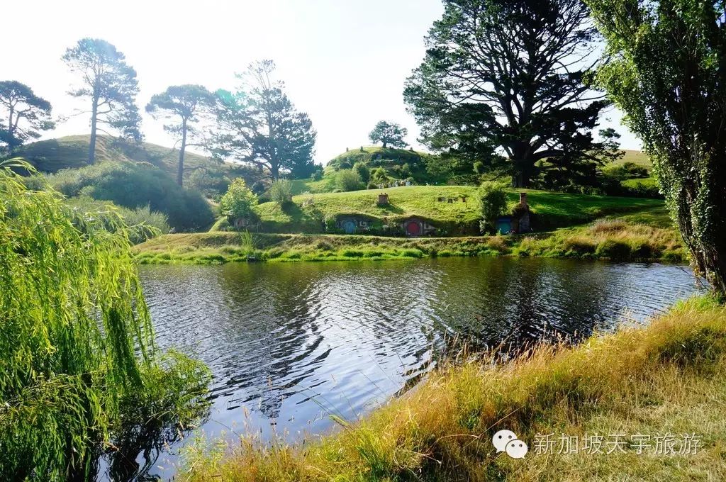 微信图片_20190510174539