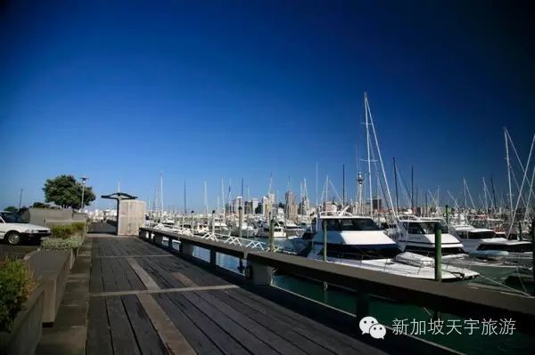 微信图片_20190510174521